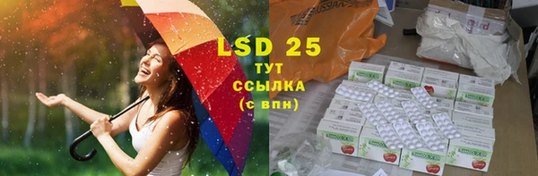 стафф Новодвинск