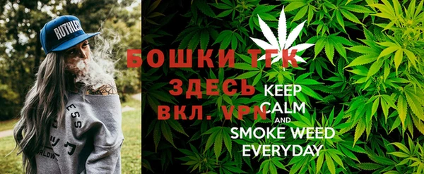 стафф Новодвинск