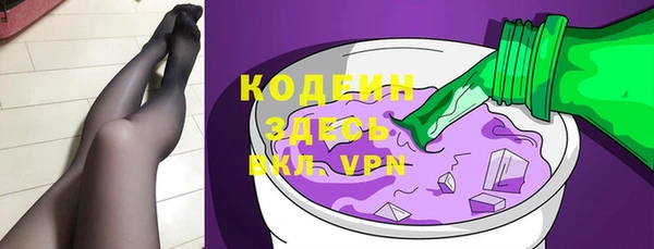 стафф Новодвинск