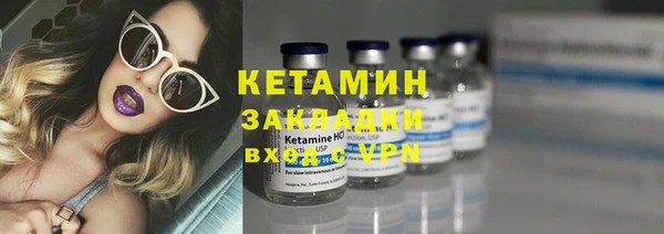 стафф Новодвинск