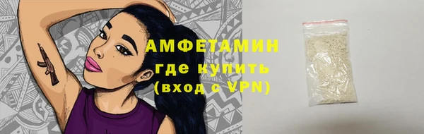 стафф Новодвинск