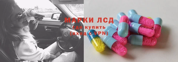стафф Новодвинск