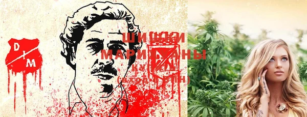 стафф Новодвинск