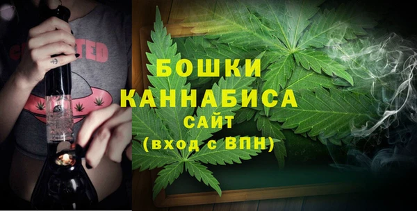 стафф Новодвинск
