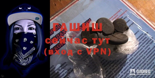 стафф Новодвинск