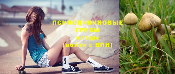 стафф Новодвинск