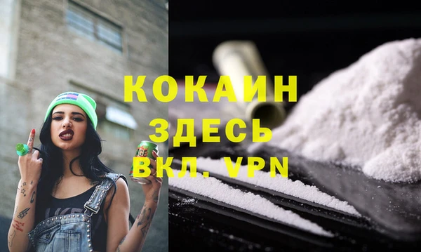 стафф Новодвинск
