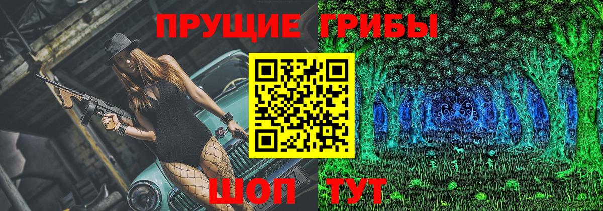 Псилоцибиновые грибы мицелий  Вход с VPN  Богданович 